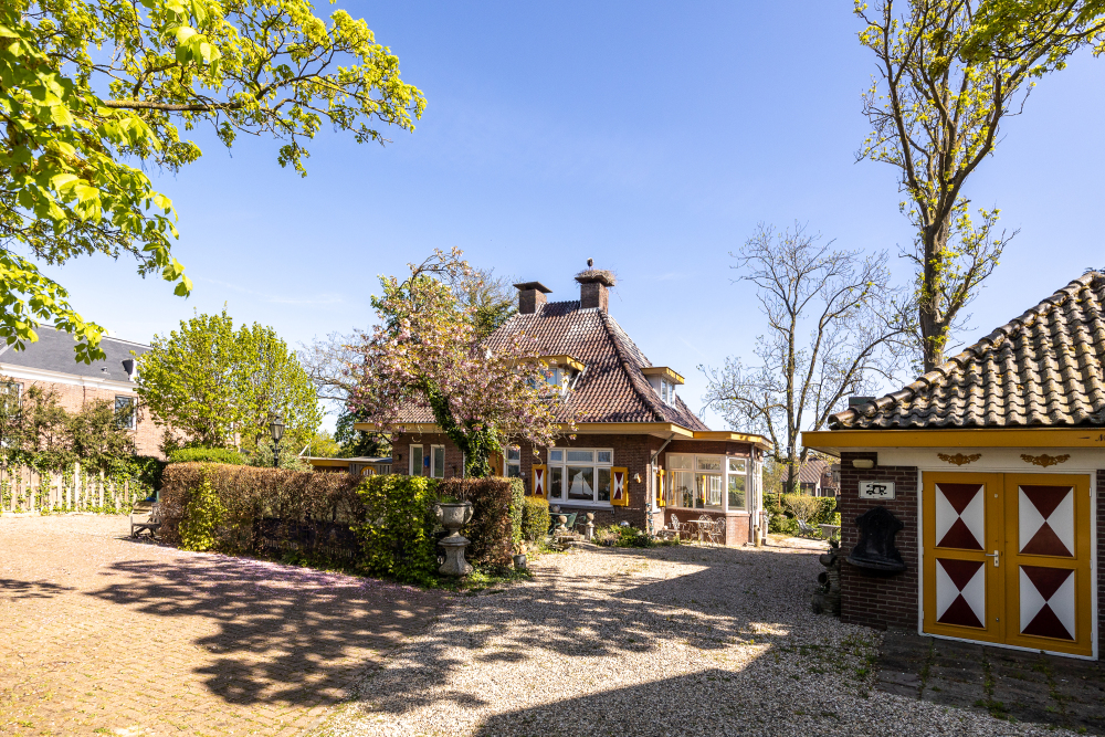 Foto 3 1000w