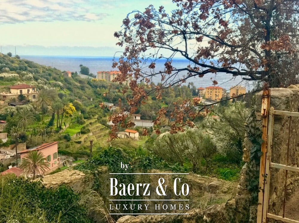 Foto 60 1000w