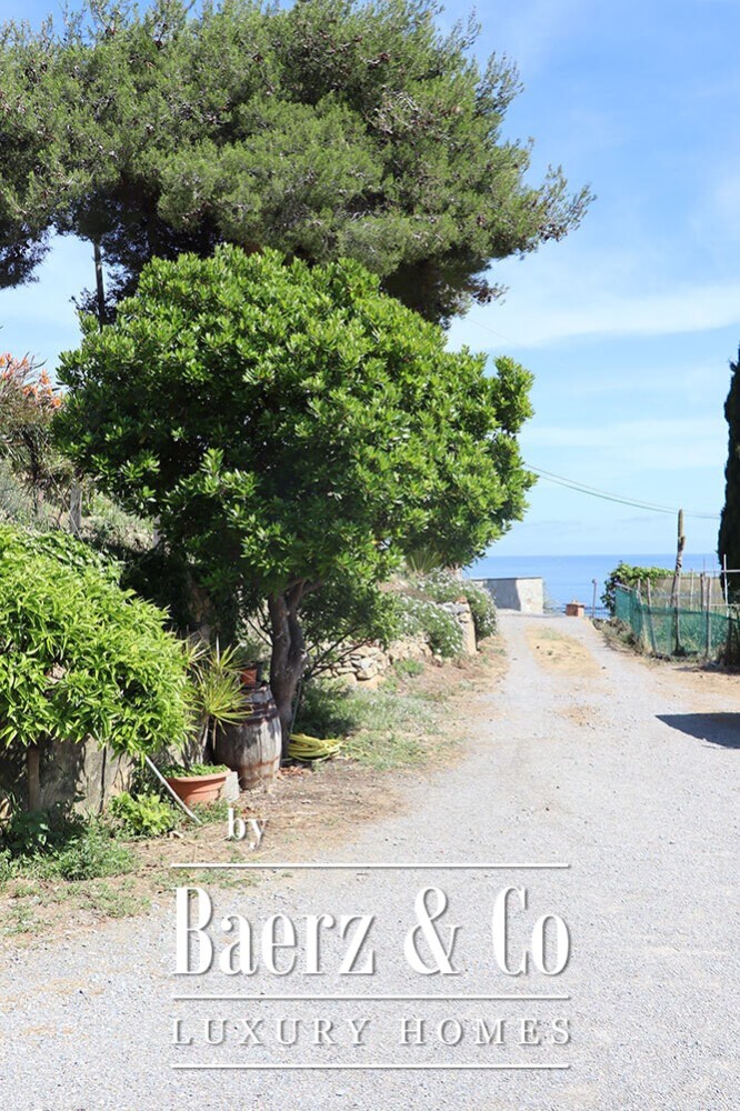 Foto 22 1000w