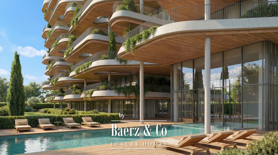 Surroundings photo