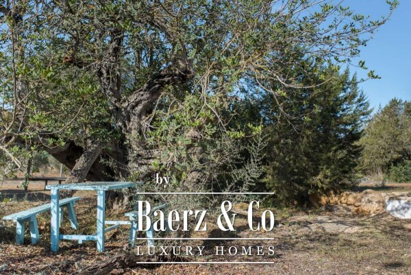 photo 53 Beautiful luxury home in San Mateo, San Mateo