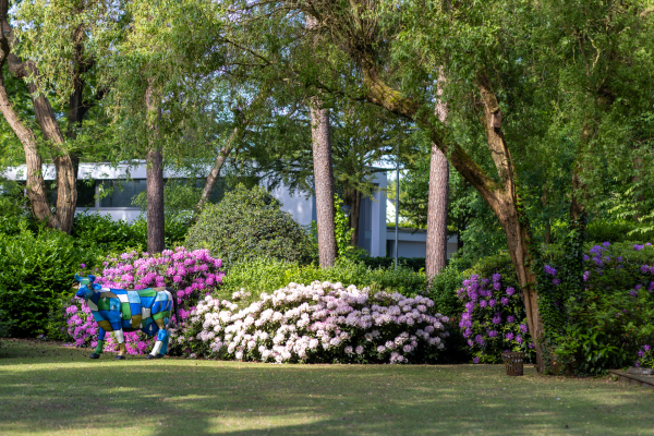 photo 39 Montenspark 1