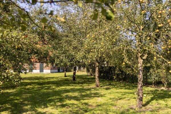 photo 33 Hupselse Esweg 3