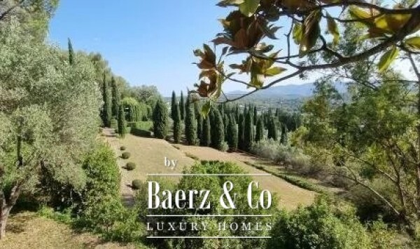 photo 4 Estate - over 6 ha of land with olive trees