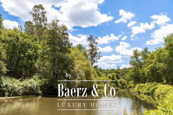 photo 17 Manor house in the Dão wine region