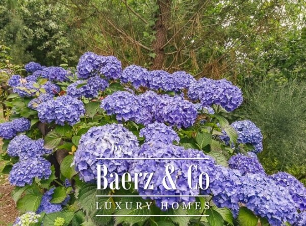 photo 21 Charming House in Azores