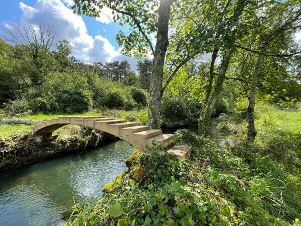 photo 9 Chateau de Faverolles 