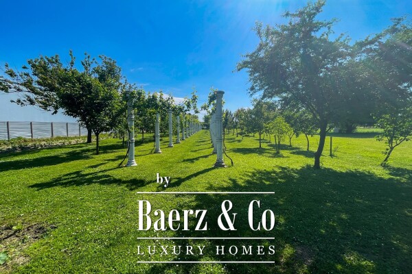 photo 20 Donji Miholjac, City Center – residential-Commercial House with Three Apartments and a Commercial Sp