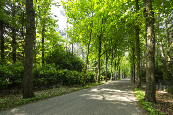 photo 21 Hondsbergselaan 3