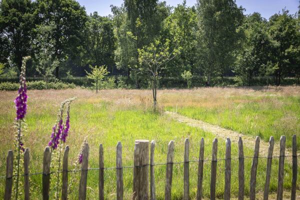 photo 24 Scheggertdijk 84