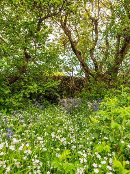 photo 55 Elzenlaan 30