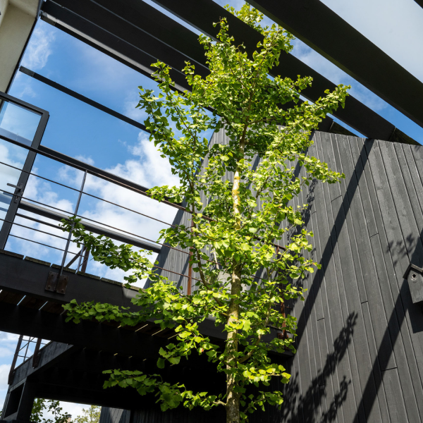 photo 17 Groene Hof 3