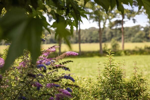 photo 59 Markeloseweg 25