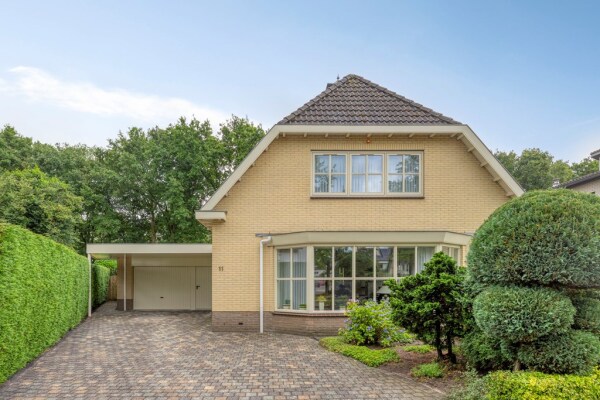 photo 4 Bilzekruid 11