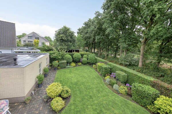 photo 51 Bilzekruid 11