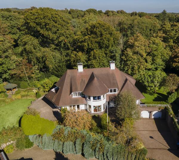 photo 60 Leonard Springerhof 4