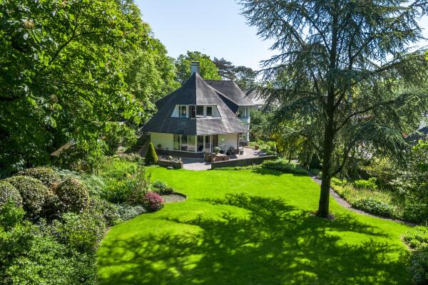 photo 2 Leonard Springerhof 4