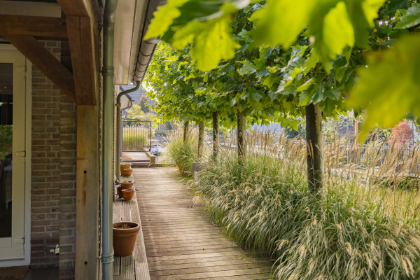 photo 20 Valentijnsingel 16