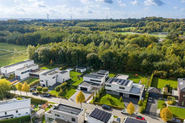 photo 42 Koningskaars 20