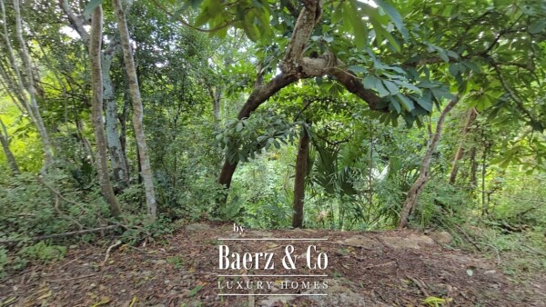 photo 6 Sagrado - Valladolid 