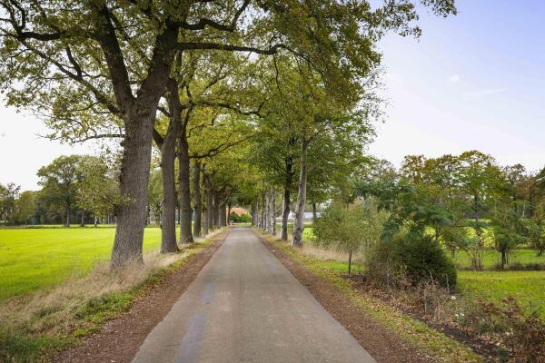 photo 83 Hardermaat 12