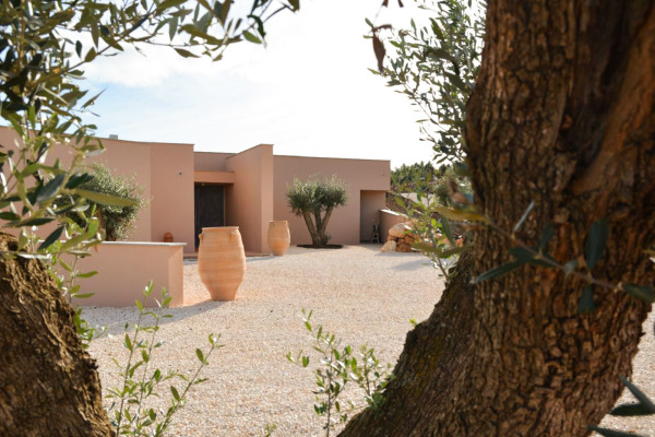 photo 10 Rua do Rosmaninho lote 12 