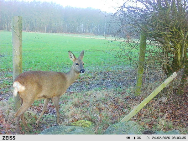 photo 62 Delbuursterweg 25