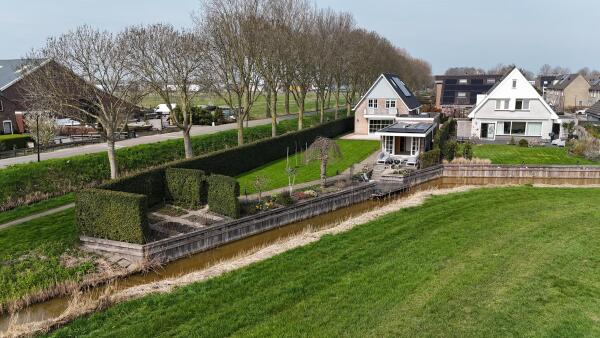 photo 61 Timotheegras 13