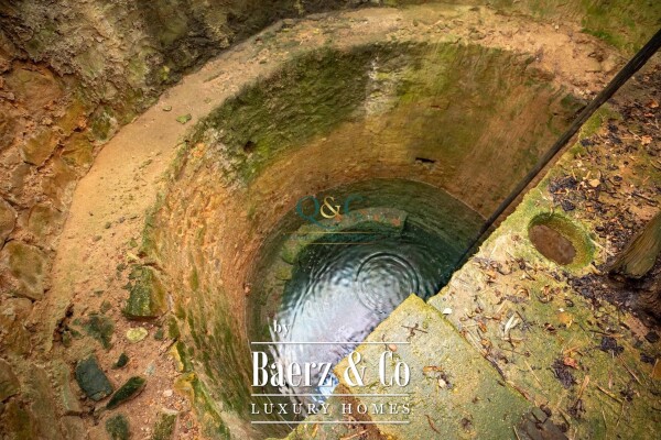 photo 17 Beautiful luxury home in Moncarapacho, Moncarapacho (Fuseta)