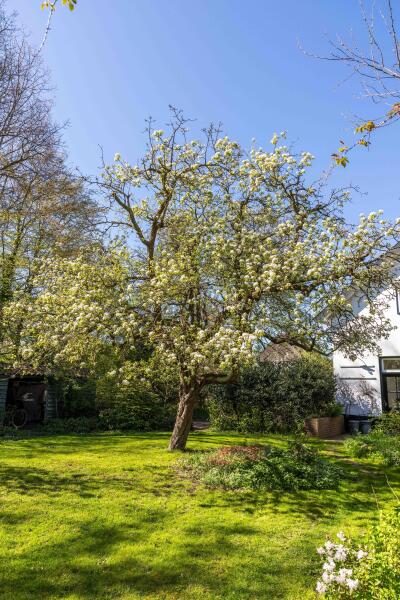 photo 38 Natteweg 44