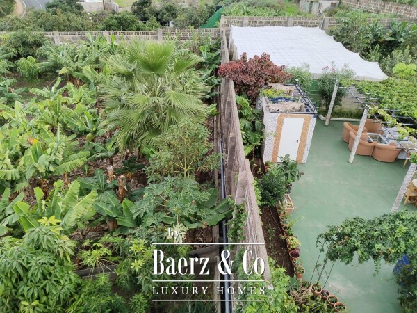 photo 46 Investment Finca with VV License and 3 Rental Units in Garachico, Tenerife