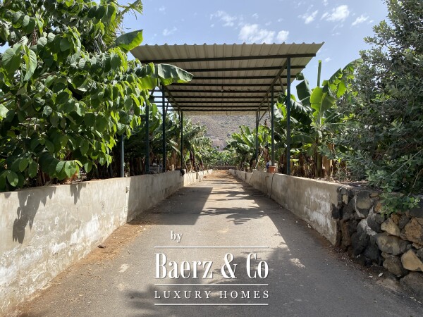 photo 3 Magnificent estate featuring family home and an organic banana plantation