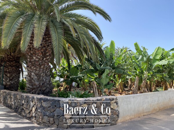 photo 4 Magnificent estate featuring family home and an organic banana plantation